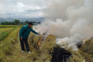Burning straw: Short-term benefits, long-term consequences