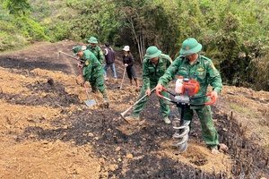 “Green Weekend” in Na Sang