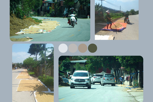 Traffic safety risks from drying agricultural products on roadsides