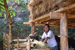 Model farmer in Cói Bánh village