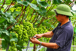 'Mường Thanh awakens potential, attracts investment
