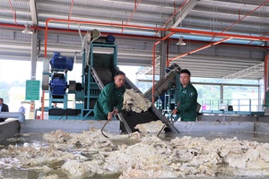 Occupational safety and health in digital era