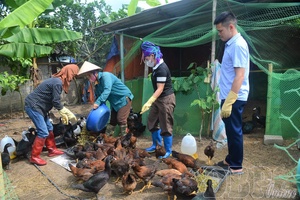 Vocational training linked to creating sustainable livelihoods