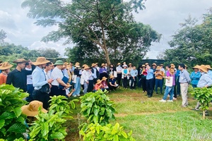 Accompanying farmers to change production mindset