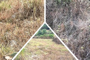 Concerns over habit of using weedkillers in Pú Nhung