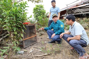 Chà Tở overcomes difficulties to rise up