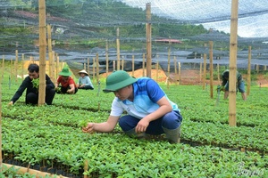 The season of sowing hope