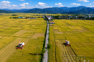 Maximizing effectiveness of Điện Biên rice geographical indication