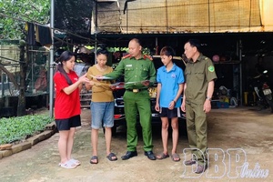 Joint cooperation in the fight against drug crimes