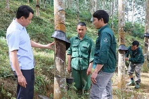 Developing party members in enterprises