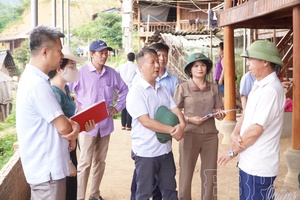 Helping people in disaster-prone areas settle down early - Part 2: More drastic involvement needed