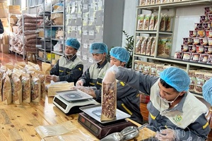 Điện Biên cooperatives: Adapting for breakthrough