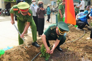 Greener and more beautiful from community awareness