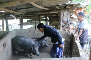 Ensuring safe and sustainable livestock production