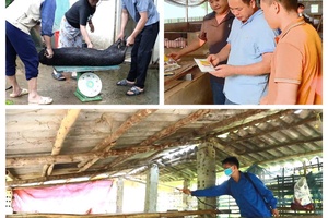 'Heightening public awareness to prevent risk of disease spread