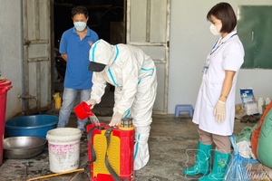 Combating African swine fever for sustainable livestock development
