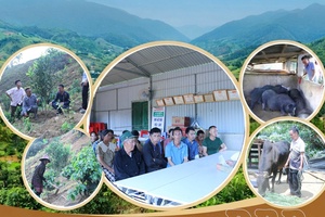 Xa Dung brings resolution into reality