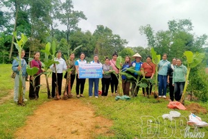Điện Biên women proactively resolve social issues