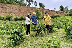 Awakening people’s strength for local development