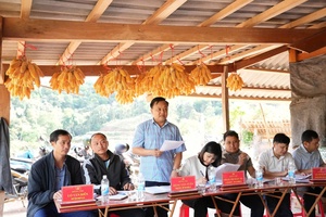 Making grassroots-level democracy substantive