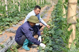 Nậm Kè materializes poverty reduction targets