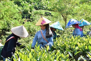 Pioneering green, sustainable agriculture