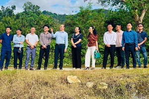 Unlocking Điện Biên’s agricultural potential