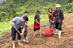 New-style rural development criteria set for 2026-2030 period: Unblocking bottlenecks