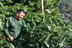 Awakening potential from Party’s strategic vision - Part 1: “Revolution” in agricultural restructuring
