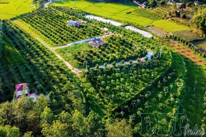 Unblocking policy mechanisms, driving agricultural development