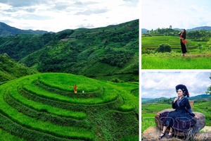 Green season on terraced fields