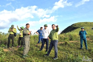 Empowering local government at grassroots level