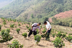 Pillars of strength for villages