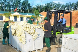 Proactively preventing occupational accidents and occupational diseases