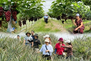 Điện Biên paves way for “green tourism” development