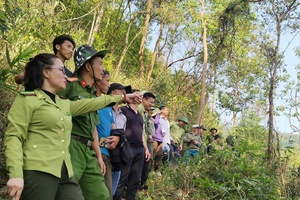 Preserving forests from grassroots level