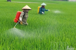 Proactively preventing harmful organisms on summer-autumn rice