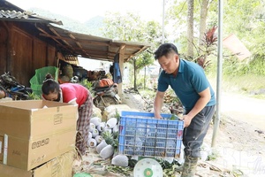 Building sustainable value chains