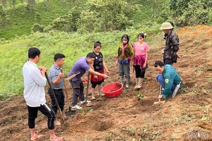 Mường Chà awakens internal potential, creating breakthrough momentum
