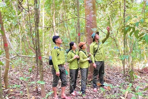 Sín Thầu: Guardians of forests