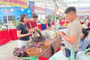 Developing trade and services, creating growth momentum