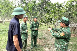 Skillful mass mobilization, firmly defending border sovereignty and security