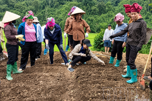 Điện Biên strives to fundamentally eliminate extremely disadvantaged villages by 2030