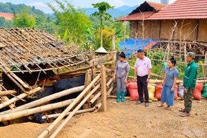 Policy credit - A foothold for impoverished women to rise up