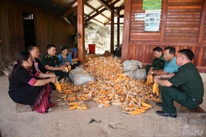 Rallying public support in multi-ethnic villages (Part 1)