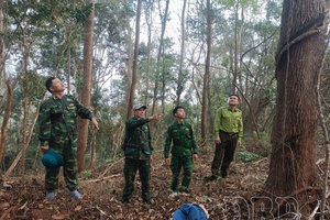 Nậm Pồ Forest Ranger Station: Promoting core role in forest protection and development