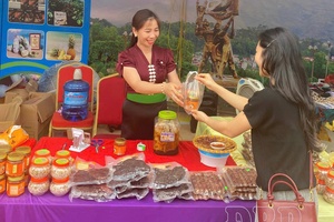 Opening pathways to develop Tủa Chùa OCOP products