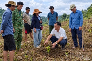 The “instructor” on coffee slopes