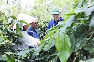 Accelerating progress of agricultural investment projects