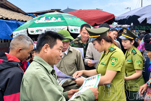 Bringing Law on Forestry closer to the people